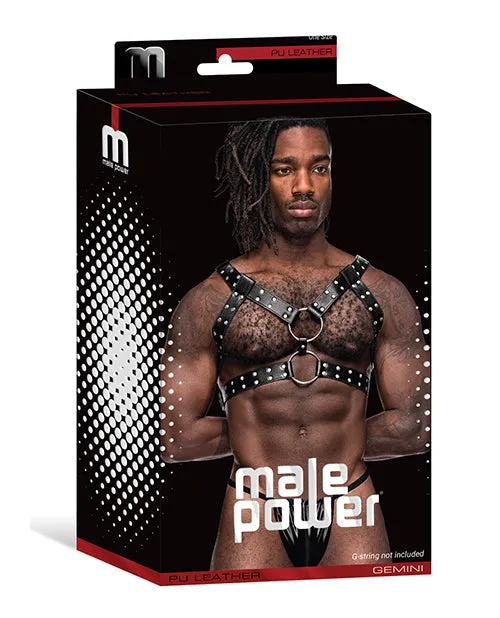 Men's Male Power Leather Gemini Double Ring Harness Black O/s | Male Power Lingerie Male Sex Toys