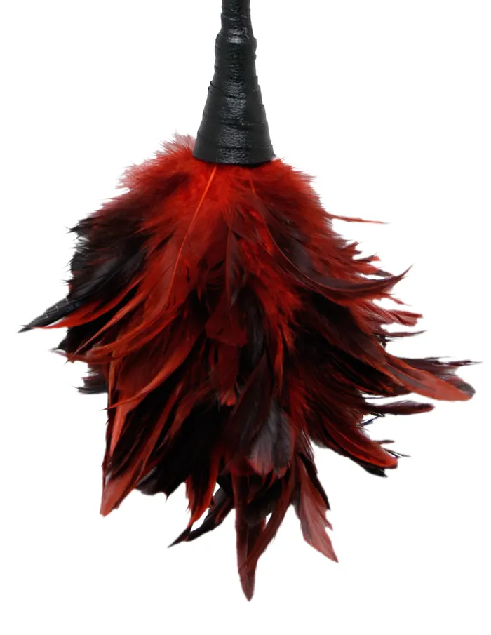 Pipedream Female Sex Toys Fetish Fantasy Frisky Feather Duster