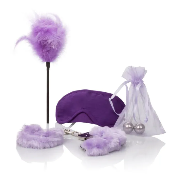 Vibrators CalExotics Berman Shades of Purple Playroom Kit