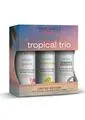 Wicked Simply Tropical Trio Wicked Simply Vibrators